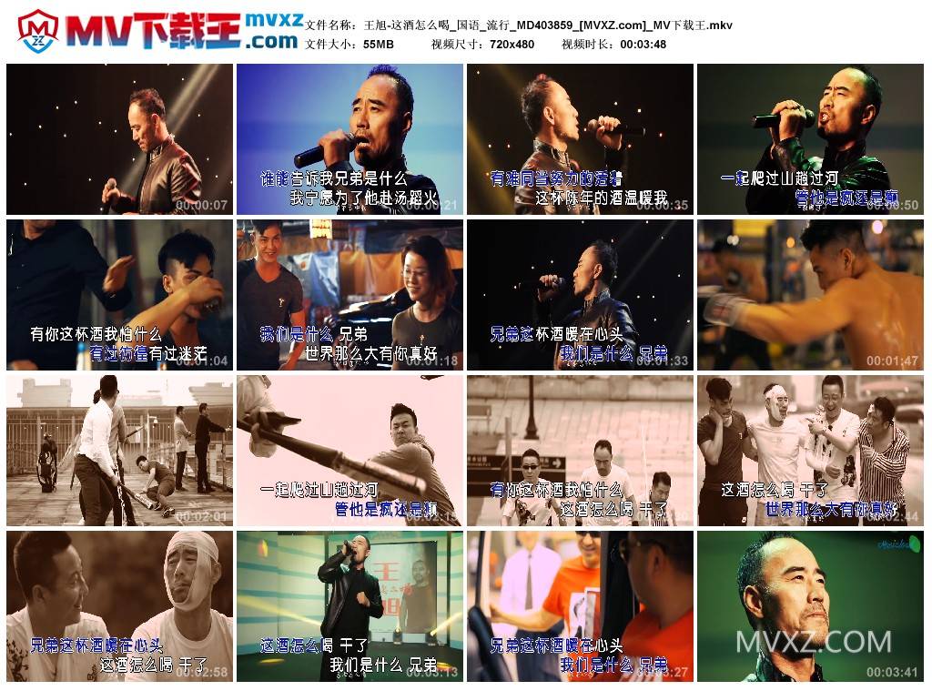 王旭-这酒怎么喝_国语_流行_MD403859